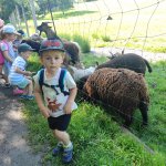 phoca_thumb_m_motlci vlet 16 Fotogalerie